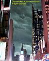 NY (244)